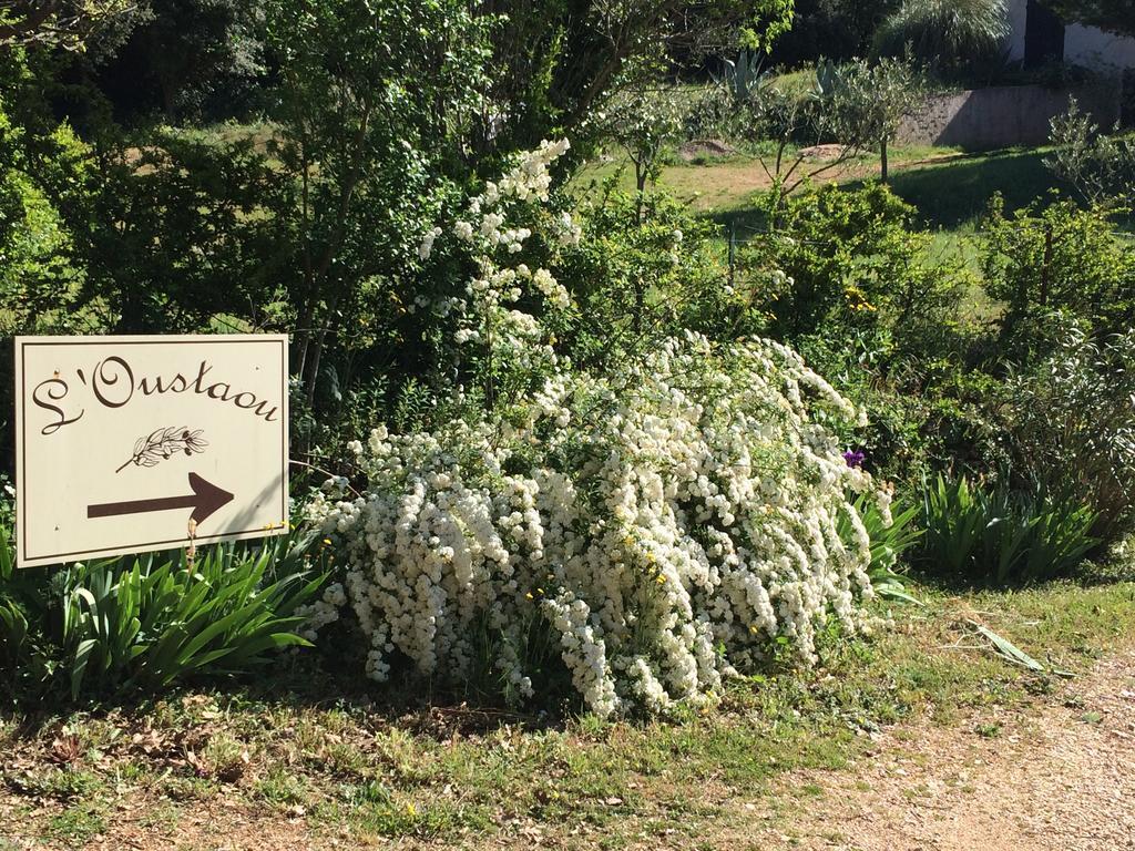 L'Oustaou B&B Piscine & Spa Besse-sur-Issole Zewnętrze zdjęcie