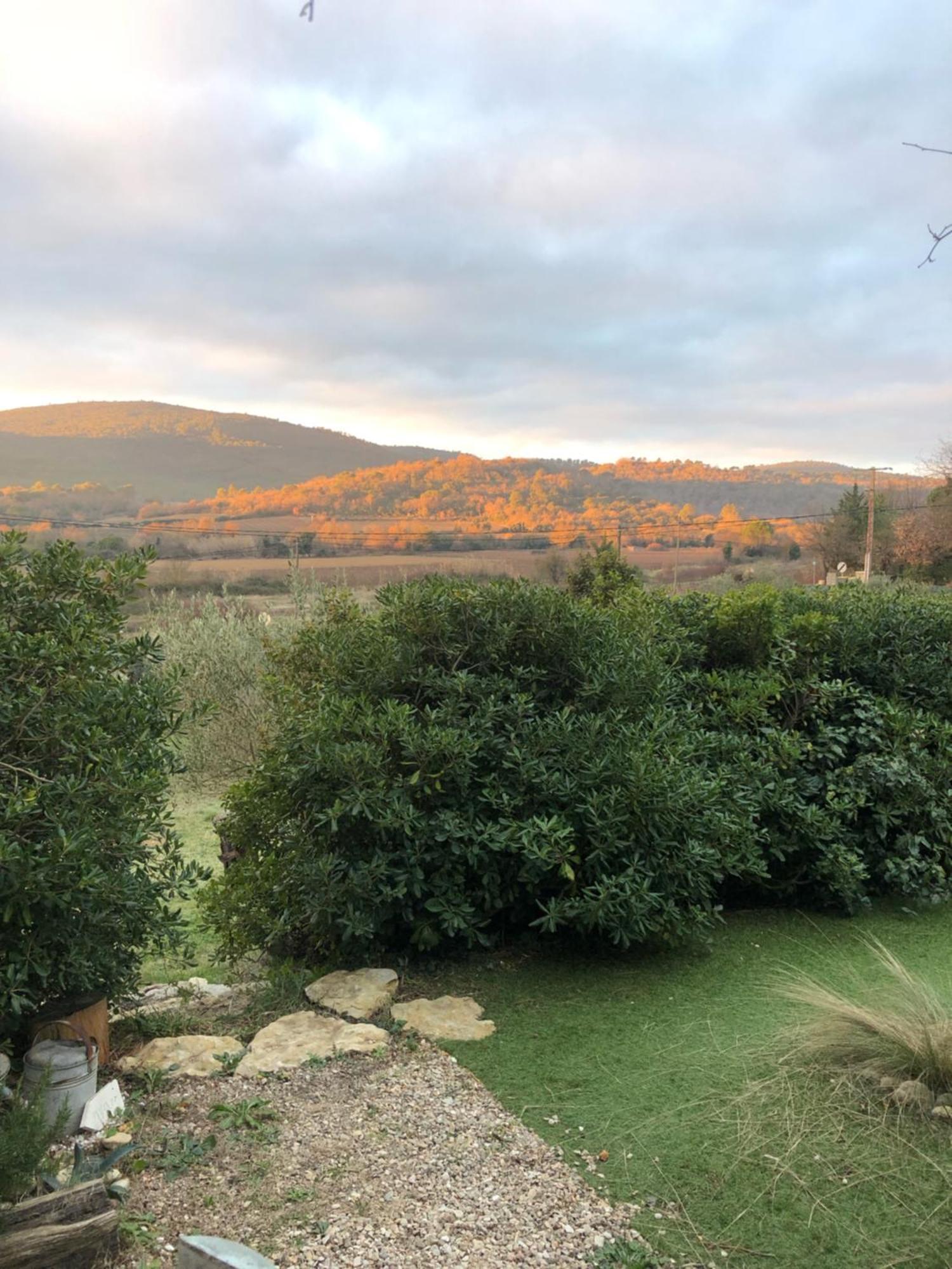 L'Oustaou B&B Piscine & Spa Besse-sur-Issole Zewnętrze zdjęcie