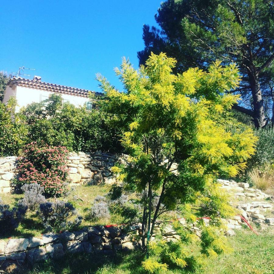 L'Oustaou B&B Piscine & Spa Besse-sur-Issole Zewnętrze zdjęcie